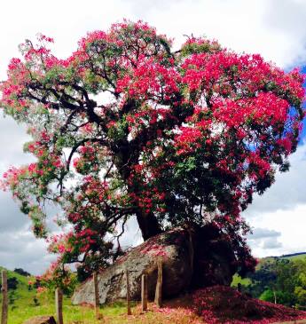 Ypê Cartão Postal na entrada da Cidade.